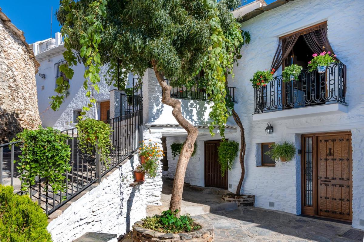 Appartement Casa Antonia Capileira La Alpujarra Extérieur photo